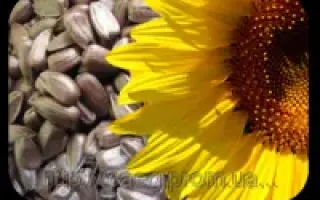 AS 33101 / АС 33101