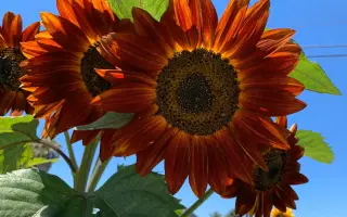 /Балкан/ / Балкан