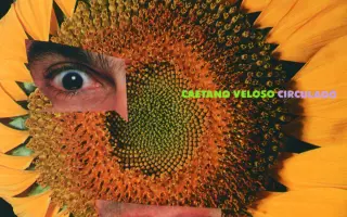 VELOSO / ВЕЛОСО