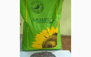 Dalia CS / Далія КС