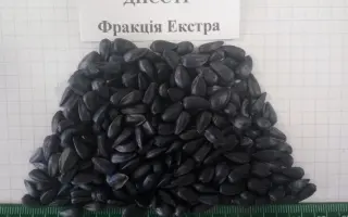 Dnestr / Днєстр