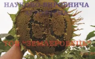 Донской 60 / Донський 60