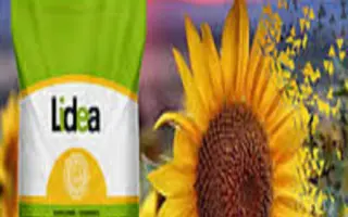 ES Bayano / ЕС Баяно