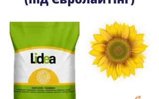 ES Venicia / ЕС Веніція