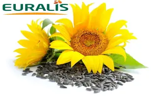 ES VERONIKA / ЕС ВЕРОНІКА