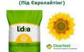 ES EUROMIS CL / ЕС ЄВРОМІС СЛ