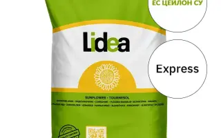 ES SIMBA / ЕС СІМБА