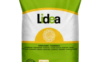 ES TOUNDRA / ЕС ТУНДРА