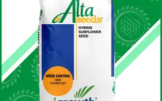 Calida / Каліда