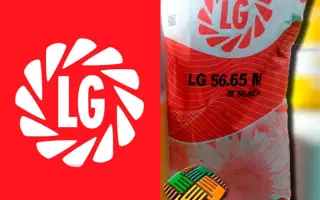 ЛГ 5669СL / ЛГ 5669КЛ