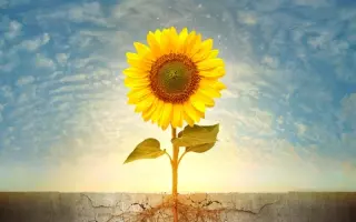 LG 5670М / ЛГ 5670М