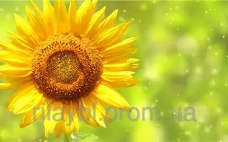 LG5451HO CL / ЛГ5451ХО КЛ