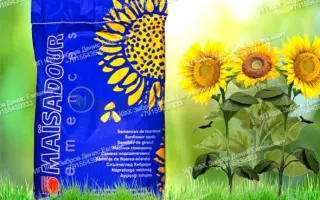 МAS 84E / МАС 84Е