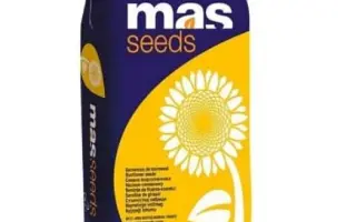 MAS 91G / МАС 91Г