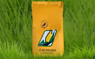 Monrovia CS / Монровія КС