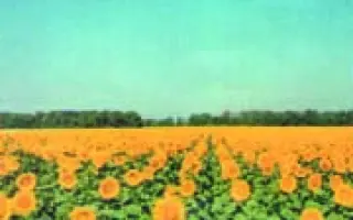 Орион / Оріон