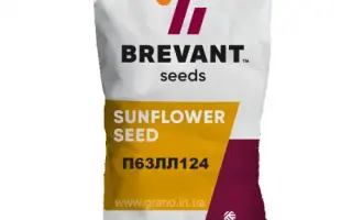 P63LL124 / П63ЛЛ124