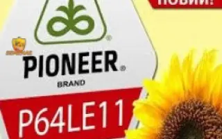 P64LE11 / П64ЛЕ11