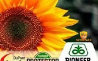 P64LE19 / П64ЛЕ19