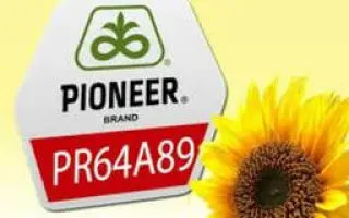 PR63A62 / ПР63А62