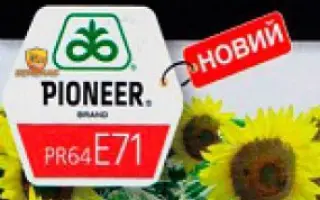 PR64E71 / ПР64Е71