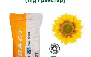 RGT AMILLTON / РЖТ АМІЛЛЬТОН