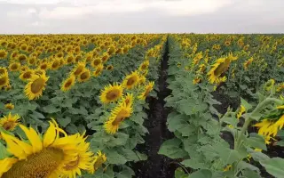 Старобільський