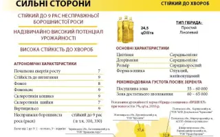 Fushia CL / Фушія КЛ