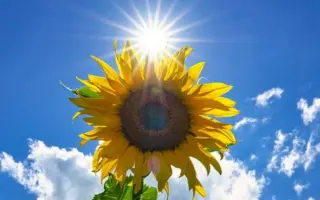 Харьковскый 7 / Харківський 7