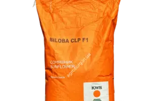 Holib CLP / Холіб КЛП