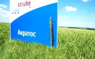 Akratos / Акратос