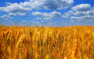 Благовіщенська