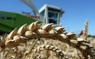 Bonanza / Бонанза