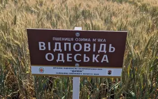 Відповідь одеська