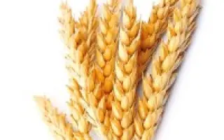 Доброслава