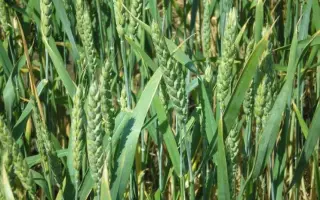 Донецкая 48 / Донецька 48