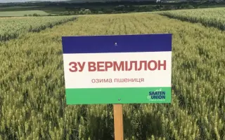 SU VERMILLON / ЗУ ВЕРМІЛЛОН