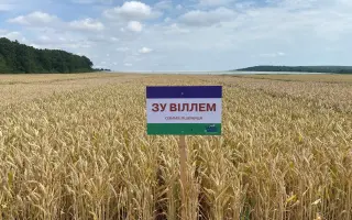 SU Willem / ЗУ Віллем