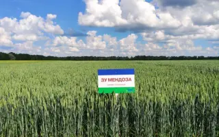 SU Mendoza / ЗУ Мендоза