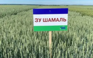 SU Shamal / ЗУ Шамаль