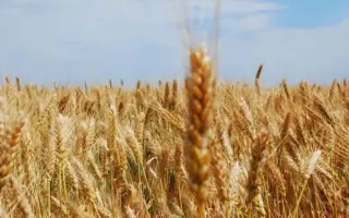 Киевская 8 / Київська 8