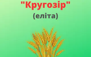 Кругозір