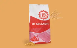 LG Absalon / ЛГ Абсалон