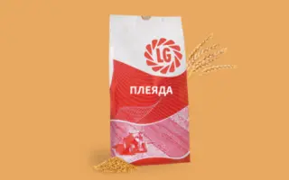 LG Aneri / ЛГ Анері