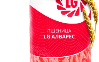 LG Gelik / ЛГ Гелік
