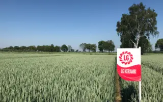 LG KERAMIK / ЛГ КЕРАМІК