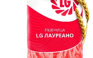 LG Orlice / ЛГ Орліс