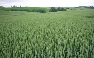 Matrix / Матрікс