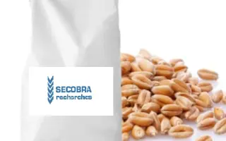 Memory / Меморі