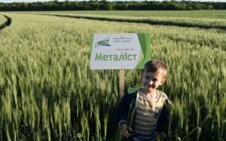 Металлист / Металіст